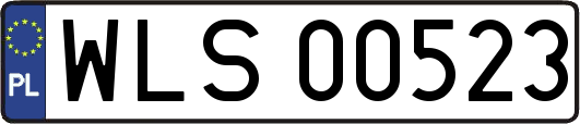 WLS00523