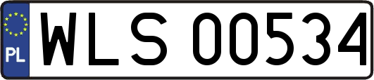 WLS00534