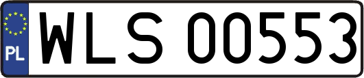 WLS00553