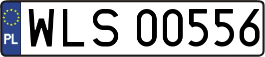 WLS00556