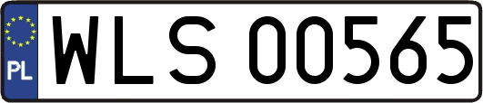 WLS00565