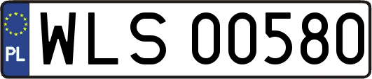 WLS00580