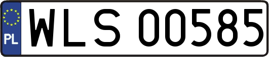 WLS00585