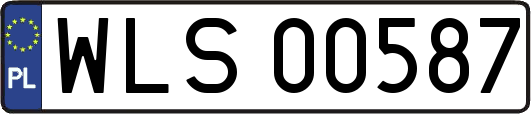 WLS00587