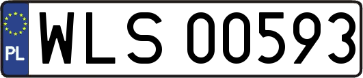 WLS00593