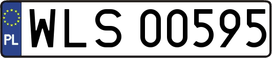 WLS00595