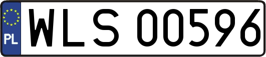 WLS00596
