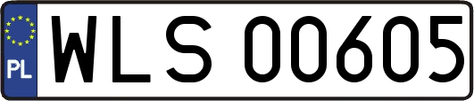 WLS00605