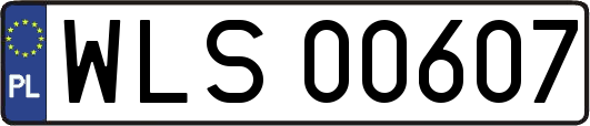 WLS00607