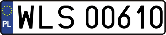 WLS00610