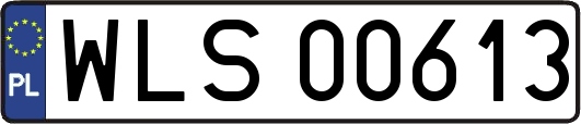 WLS00613
