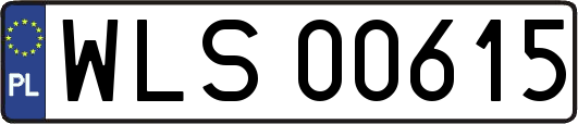 WLS00615