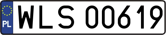 WLS00619