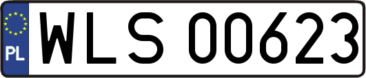 WLS00623