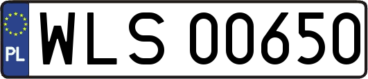 WLS00650