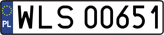 WLS00651