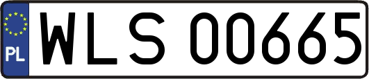 WLS00665