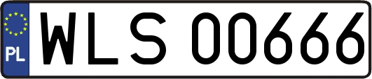 WLS00666