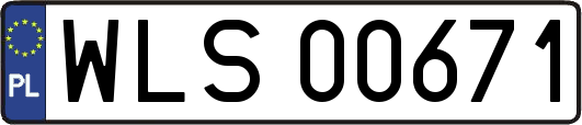 WLS00671