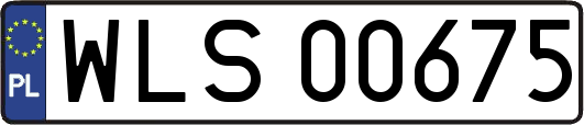WLS00675