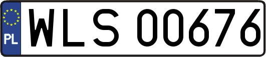 WLS00676