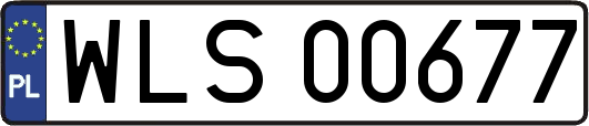 WLS00677