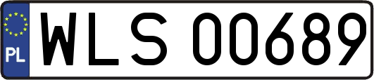 WLS00689