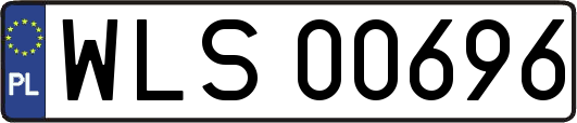WLS00696