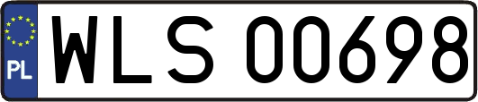 WLS00698