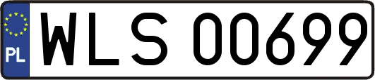 WLS00699