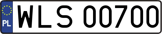 WLS00700