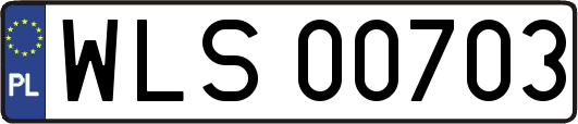 WLS00703