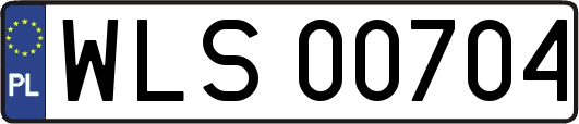 WLS00704