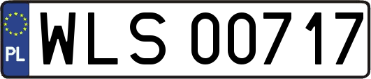 WLS00717