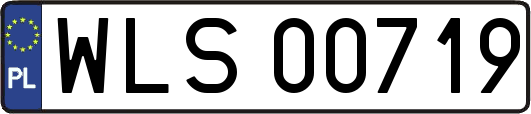 WLS00719