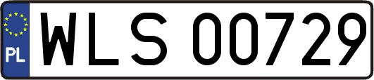 WLS00729