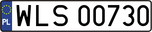 WLS00730