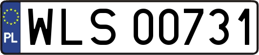 WLS00731