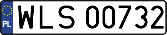 WLS00732