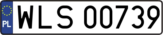 WLS00739