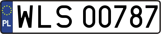 WLS00787