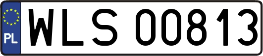 WLS00813
