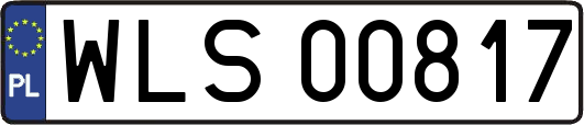 WLS00817