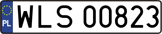 WLS00823