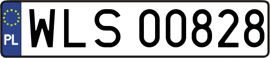 WLS00828
