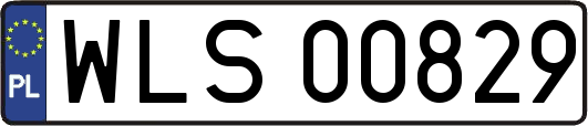 WLS00829