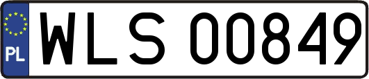 WLS00849
