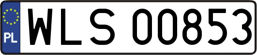 WLS00853