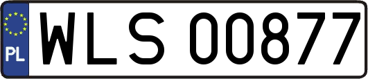 WLS00877