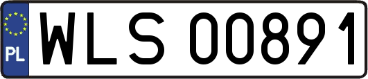 WLS00891